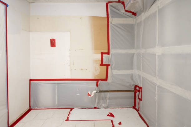 Best Environmental Consulting for Mold Prevention  in Albany, CA