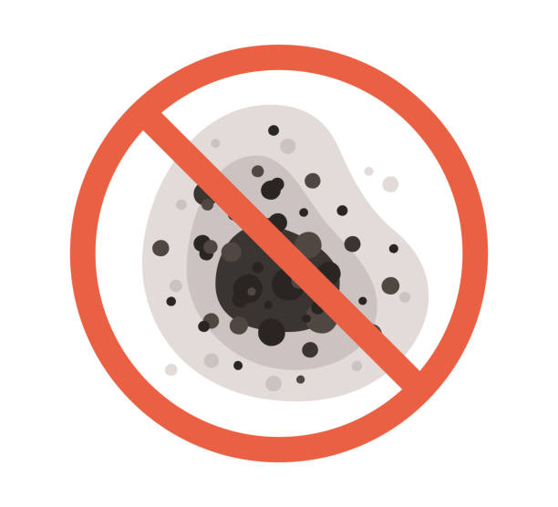 Albany, CA Mold Removal Company