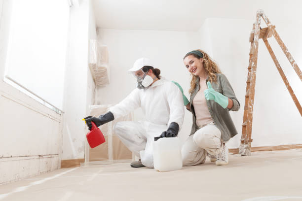 Best Mold Prevention Services  in Albany, CA