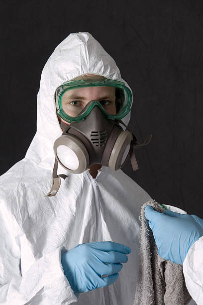 Best Mold Remediation for Rental Properties  in Albany, CA